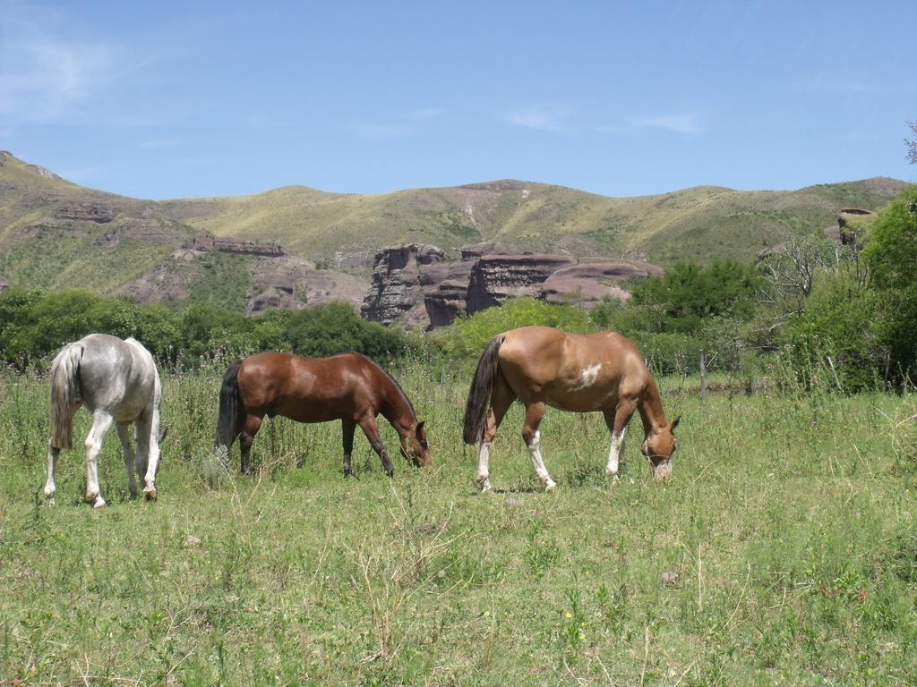 Ongamira Turismo Rural 호텔 코르도바 외부 사진